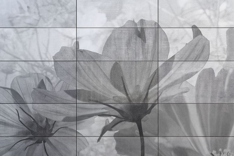 Graphic Concrete Dresden Center for Nanoanalytics 